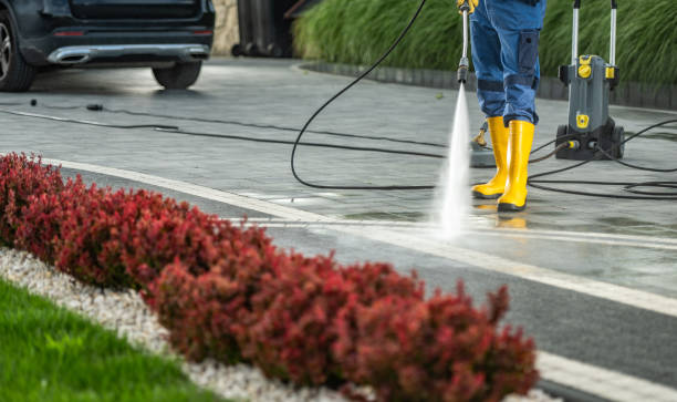 Best Sidewalk Pressure Washing  in Bellwood, PA